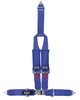 20143P Latch and Link Harness [4-Point, 3 x 3 in Belts, Sand Car, Y-Harness, Pads, Bolt-In, Wrap-Around, Blue] - image 2