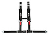 32094 Harness [4-Point, 2 x 2 in Belts, 50 in Length, Pull-Down, Individual, Pads, Black] - image 1