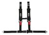 32094 Harness [4-Point, 2 x 2 in Belts, 50 in Length, Pull-Down, Individual, Pads, Black] - image 2