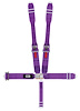 40075 Latch and Link Harness [5-Point, 3 in Belts, Dog Bone, Ratchet, Left Side, Stationary Side, Bolt-In, Purple] - image 1