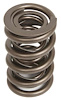 BR1000 Dual Valve Spring Outside Diameter: 1.550 in. - image 1