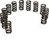Valve Springs 99.5-02 24 Valve - image 1