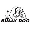 Window Decal 10" x 6" - image 1