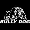 Window Decal 10" x 6" - image 1