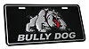 License Plate Embossed - image 1