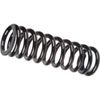 Black Coil Springs 250 lb. rate - image 1