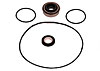 Water Pump O-Ring Rebuild Kit For Pumps August of 1999-Current