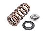 VALVE SPR KIT SGL AUDI/VW
