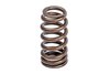 VALVE SPR KIT SGL AUDI/VW - image 2