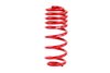 LOWERING SPRINGS VW JETTA - image 4