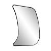 S & Z Repl Glass, RH - image 1