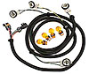 Euro Tail Light Harness - image 1