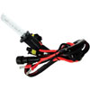 Xenon HID Bulb H1 Bulb Replacement - image 1