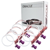 Chrysler Concorde 2002-2004 ORACLE PLASMA Halo Kit - image 1