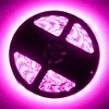 Exterior Flex LED Spool Pink - image 2