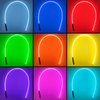 Off Road 4ft LED Whip - image 2