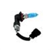 HOD HEAD LIGHT BULBS - image 1