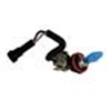 HOD HEAD LIGHT BULBS - image 1