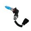 HOD HEAD LIGHT BULBS - image 1