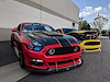 15-17 MUSTANG COLORSHIFT - image 1