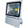 ORACLE 100W LED Indoor/Outdoor Floodlight - image 1