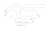 Buick Century Brake Line Kits With ABS - Rear Disc -1997 1998 1999 2000 2001 - image 1