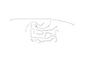 Chevy / GMC Pick Up Brake Line Kits 2WD Long Bed Standard Disc - Coil Springs -1971 1972 - image 1