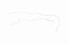 Chevy / GMC Blazer Fuel Vapor Line -1981 1982 1983 1984 1985 1986 - image 1