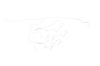 Dodge Pick Up Brake Line Kits 4WD Quadcab Short Bed 4 Wheel ABS Rear Disc Brakes -2000 2001 - image 1
