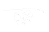 Dodge Pick Up Brake Line Kits 4WD Quadcab Short Bed 4 Wheel ABS Rear Disc Brakes -2000 2001 - image 1