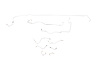 Ford Mustang Brake Line Kits 9pcs with Stainless Braided Brake Hose Kit 3pcs Boss 429 Only -1969 - image 1