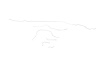 Packard Caribbean Brake Line Kits 127 in Wheelbase -1955 1956 - image 1