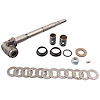 TRUNNION ASSY/KING PIN - image 1