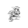 C7ZZ-18B372-A 1967-1968 Heater and Air Conditioning Vacuum Line Hose Kit - image 2