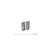 Front Stock Coil Springs 1964-1965 Ford Mustang - image 1