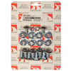 Bumper Bolt Kit 1969-1970 Ford Mustang - image 1