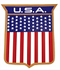 U.S.A. BODY SHIELD DECAL - image 1