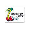 COBRA-JET WINDOW DECAL - image 1