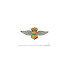 KONI SHOCK WING DECAL - image 1