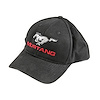 MUSTANG CAP BLACK / SILVE - image 1