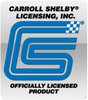 SHELBY REP. INTAKE - image 2