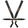 Schroth Profi II 6-Point Black - image 1