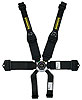 Profi III 6-Point Harness 2"/3" Hans Shoulder Belt - image 1