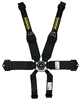 Profi III 6-Point Harness 2"/3" Hans Shoulder Belt - image 1