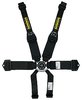 Profi III 6-Point Harness 2"/3" Hans Shoulder Belt - image 1