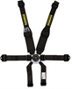 Profi II 6-Point Harness 2"/3" Double Hans Shoulder Belt - image 1