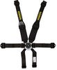 Profi II 6-Point Harness 2"/3" Hans Shoulder Belt - image 1