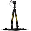 Schroth Autocontrol II ASM 4 Point Harness - image 1