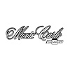 Rear Panel Emblem 1976-77 Chevy Monte Carlo - image 1