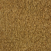 Molded Cut Pile Carpet 1978-88 GM A-Body / G-Body - image 1